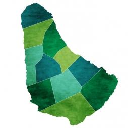  Magnetische Landkarte Barbados, illustrierte, grüne