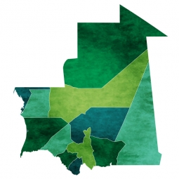  Magnetische Landkarte Mauretanien, illustrierte, grüne