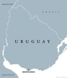  Magnetische Landkarte Uruguay, illustrierte, graue