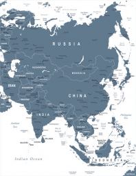  Magnetische Landkarte Asien , illustrierte, graue