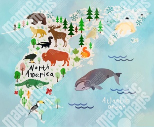  Magnetische Landkarte Nordamerika, Gezeichnete, bunte